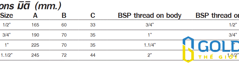 Cấu tạo chi tiết